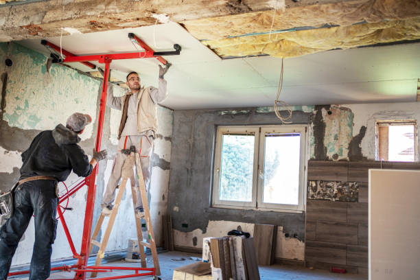 Best Insulation Contractor Near Me  in Texarkana, TX